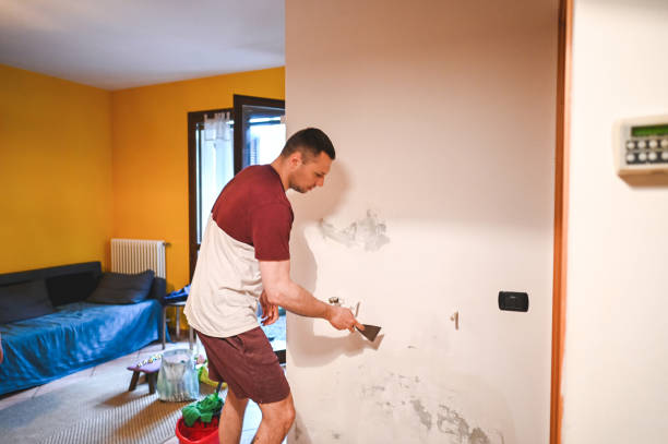  Oli, PA Mold Removal Pros